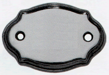 Zierschild1v